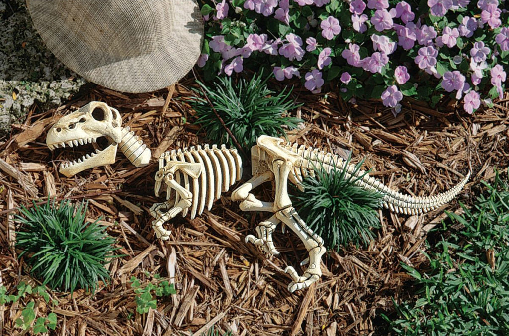 Raptor Skeleton Garden Sculpture