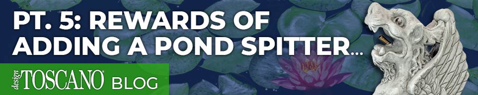 Rewards of adding a pond spitter